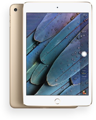 Apple iPad Mini 4 WiFi A1538 32GB  (Apple iPad 5,1) image image