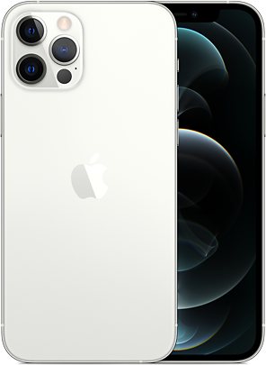 Apple iPhone 12 Pro 5G A2408 Dual SIM TD-LTE CN 256GB / A2409  (Apple iPhone 13,3) Detailed Tech Specs