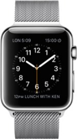 Apple Watch 42mm Hermes A1554  (Apple Watch 1,2) Detailed Tech Specs