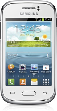 Samsung GT-S6310N Galaxy Young image image