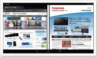 Toshiba Shared Board TT302 Detailed Tech Specs